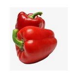Capsicum