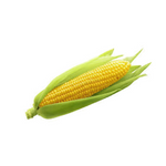 Sweetcorn