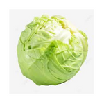 Cabbage