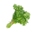 Green Coriander