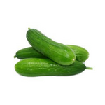 Cucumber