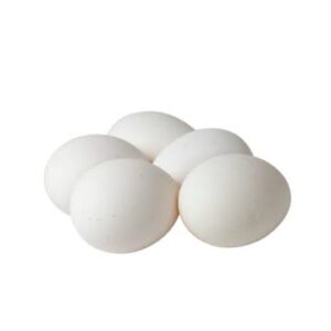 EGG